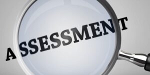 Should organizations use an assessment tool?
